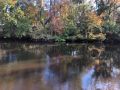 509_View across Withlacoochee River